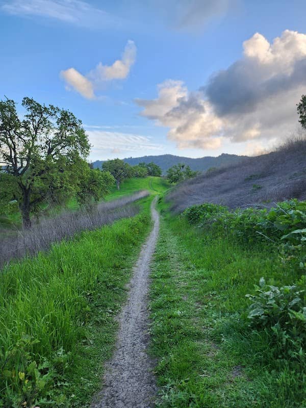 Las Trampas to Mt Diablo Regional Trail - Image 2
