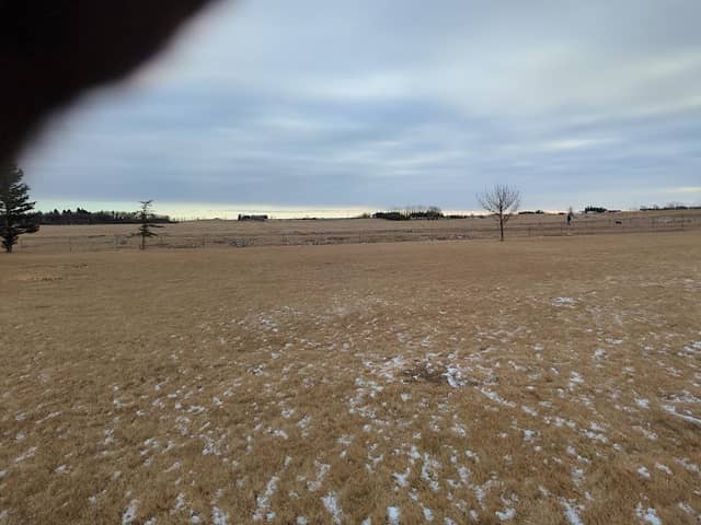 Greenspace - Image 2