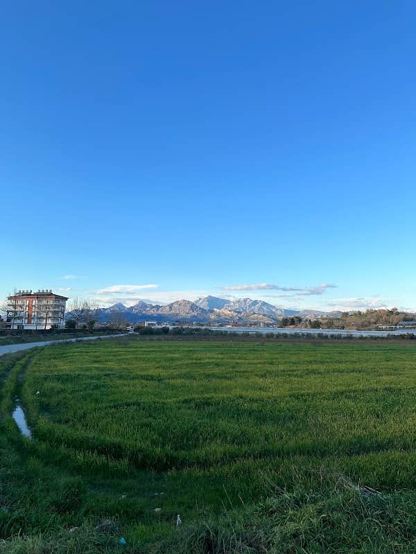 Republic Sports Park - Image 1