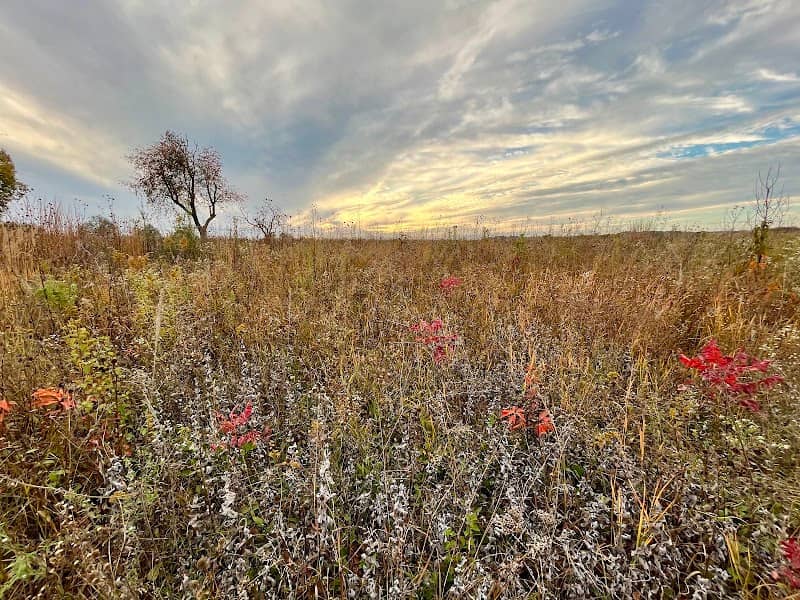 Baker Prairie - Image 2