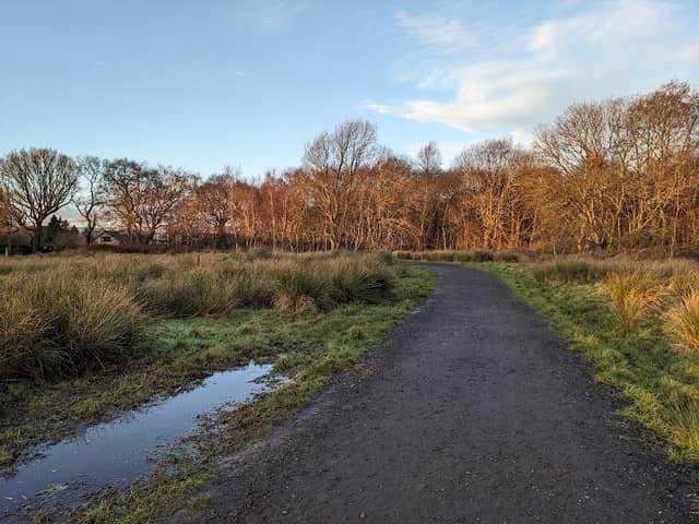 Lenzie Moss - Image 1