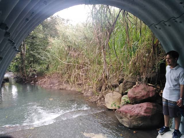 El túnel de plata - Image 1