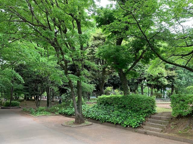Takiyama Park - Image 1