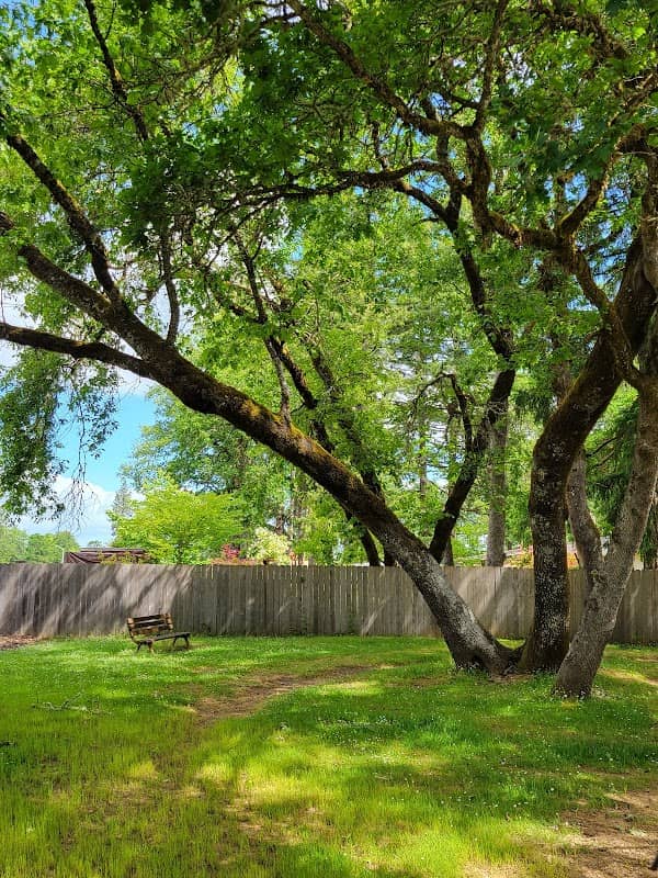 Oak Island Park - Image 1