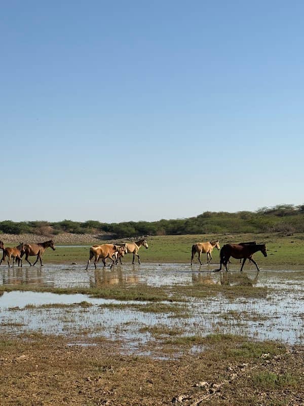 Bhuj GreenLand - Image 2