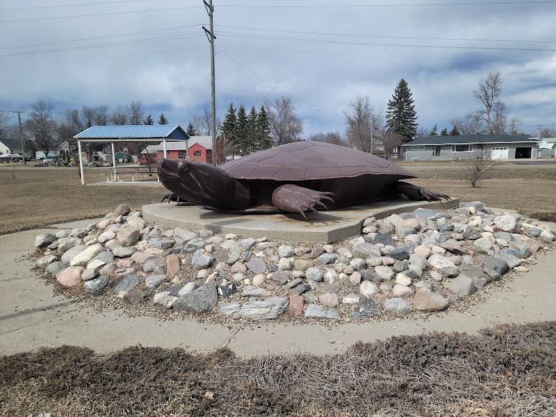 Rusty the Turtle - Image 1
