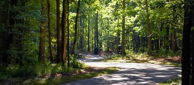 Mill Bridge Nature Park - Image 1