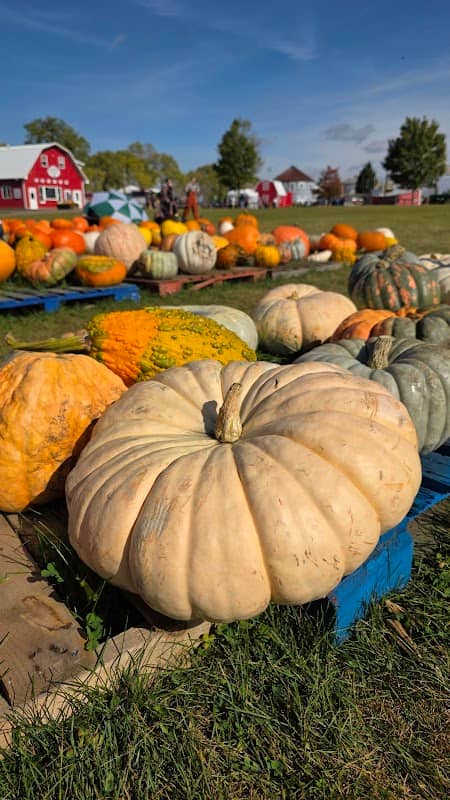 Richardson Adventure Farm Parking - Image 1