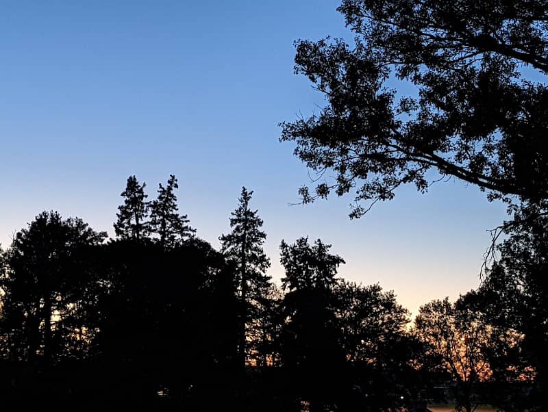 Cole Park - Image 1