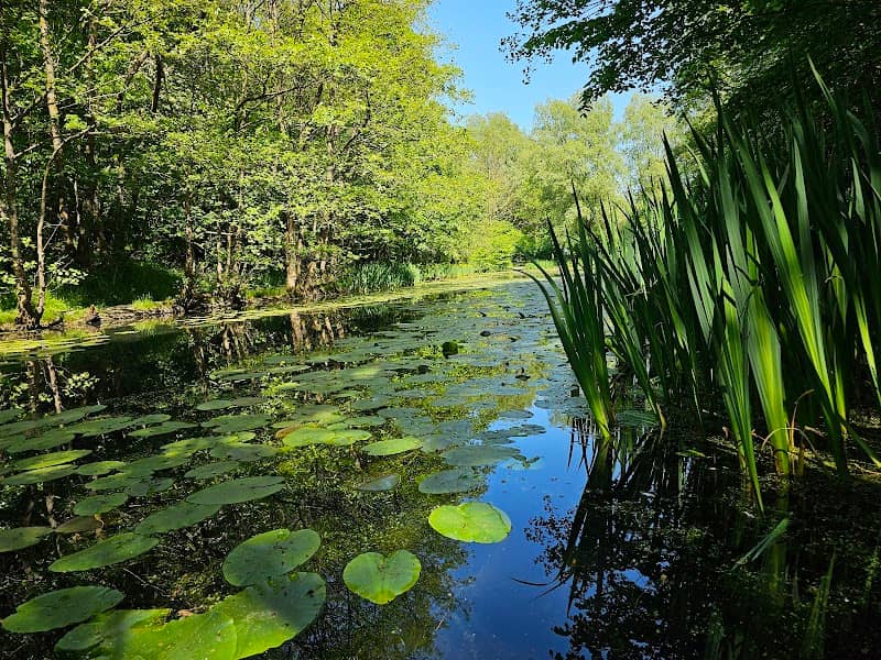 Netherwood - Image 1