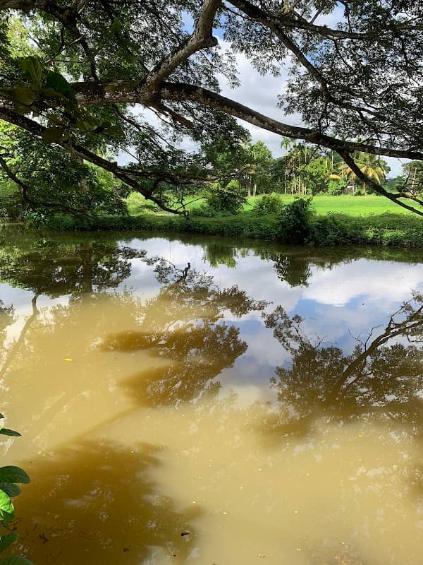Madirikada Pond Anicut - Image 1