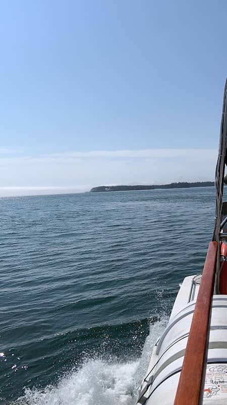 Whale watching - Image 1