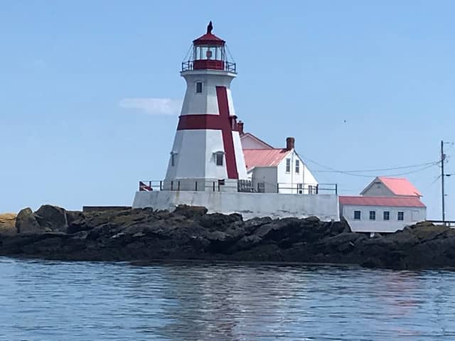 Whale watching - Image 3