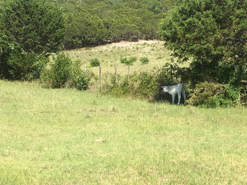 Union Park Campground - Image 2