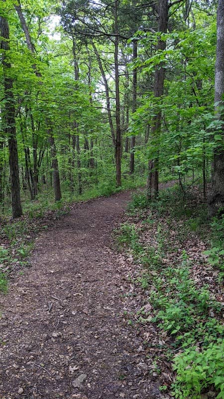 Clearview Park - Image 1