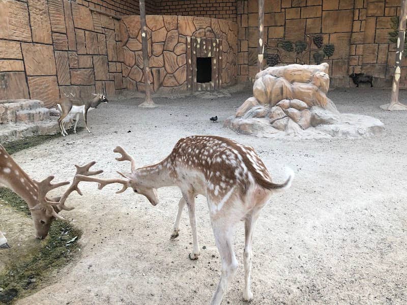 Duhok Zoo - Image 2