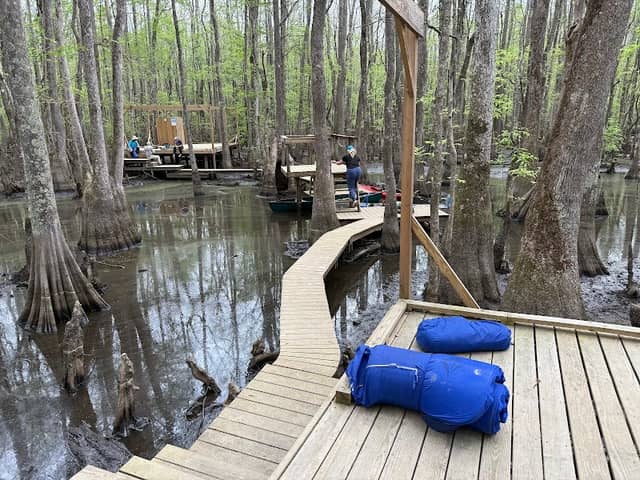 Roanoke River National Wildlife Refuge - Image 1