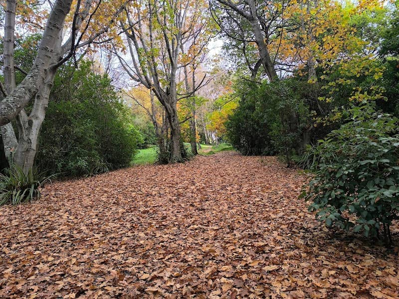 Jubilee Park - Image 2