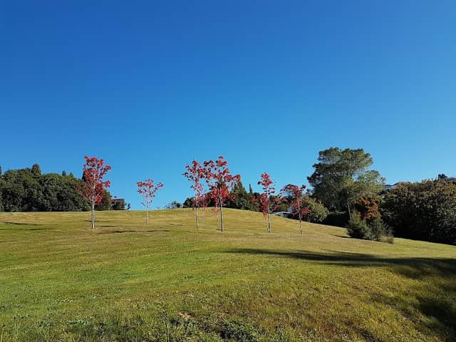 Jubilee Park - Image 1