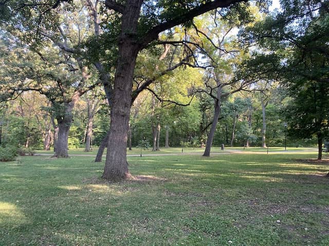 Oak Park - Image 1