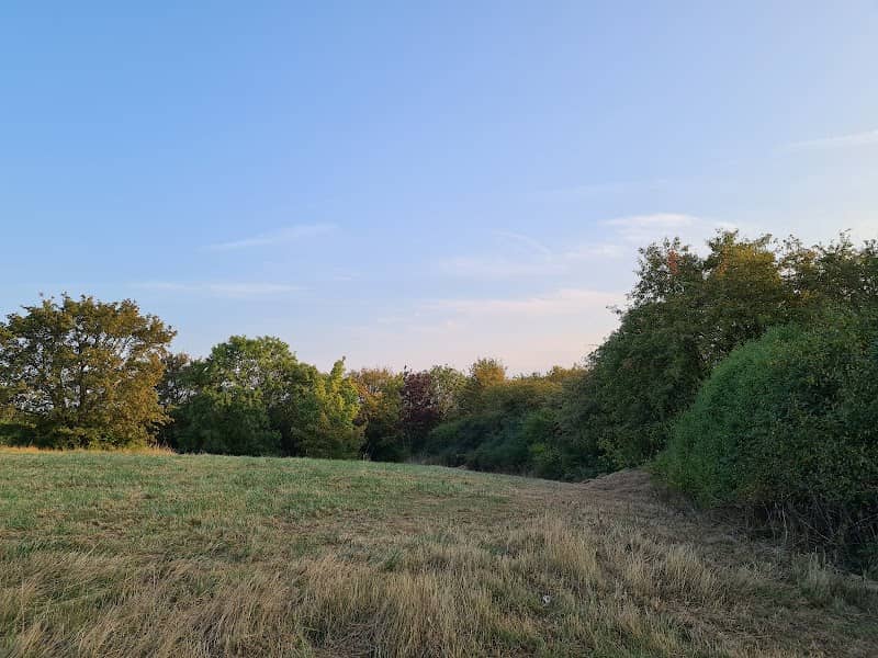 Vange Hill - Image 1