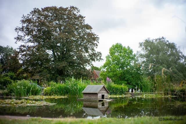 Roundabout Bird Pond - Image 1