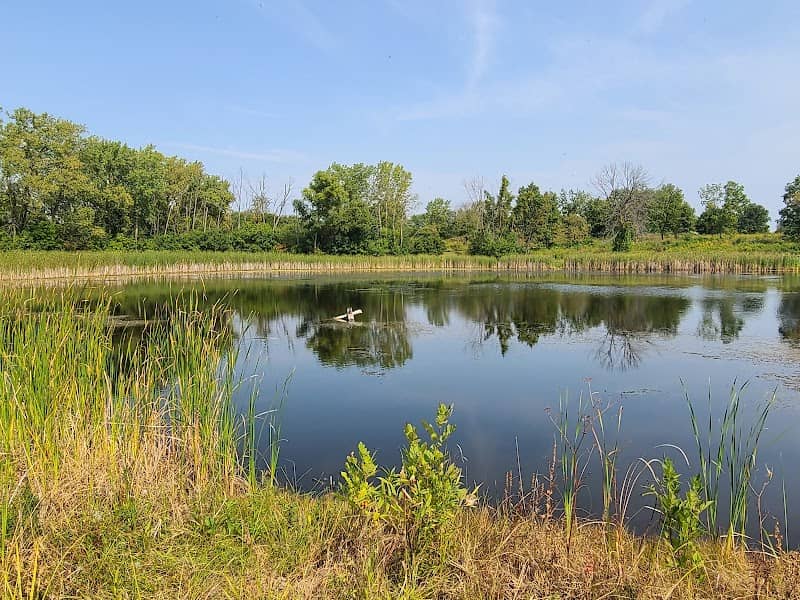 Greenbelt Forest Preserve - Image 1