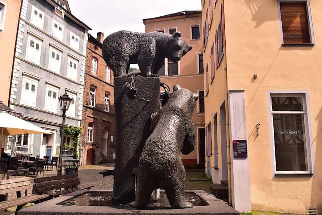 Bear spring - Image 1