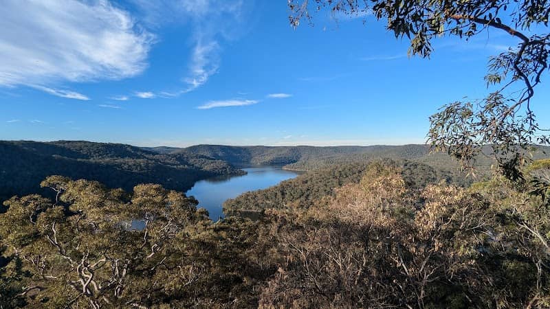 Coba Ridge to Collingridge Point walking track - Image 1
