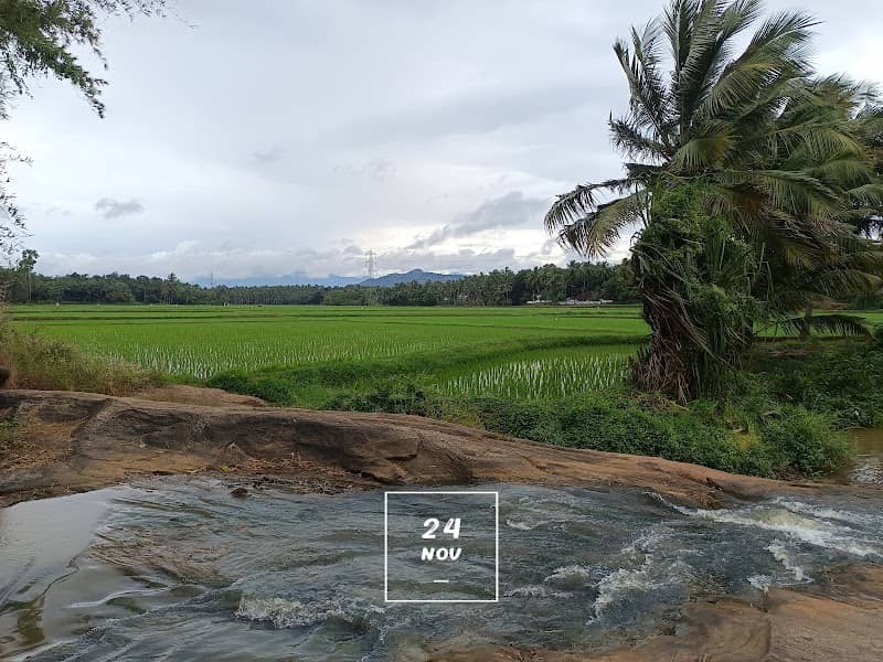 Parapp പരപ്പ് - Image 1