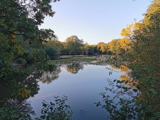 Riverside Garden Park - Image 1