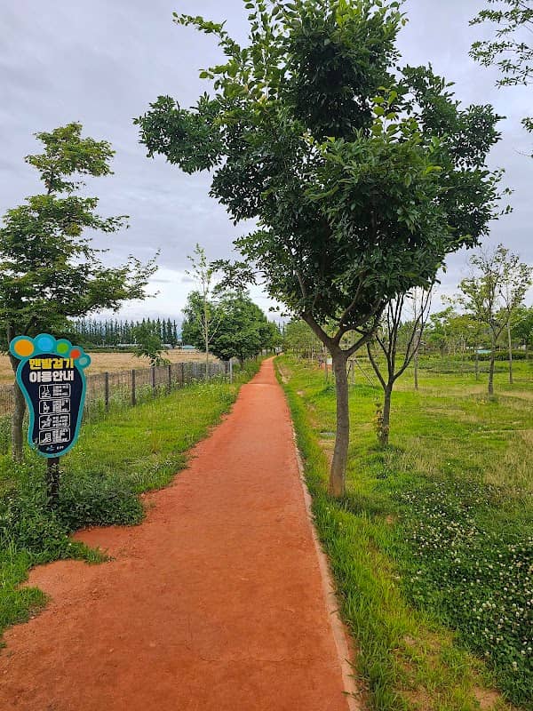 Sinchon daily park - Image 1