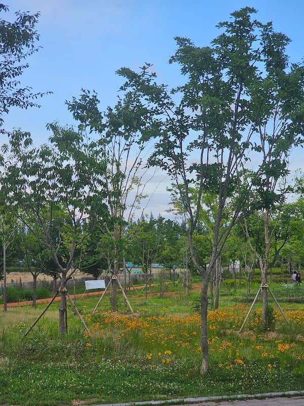 Sinchon daily park - Image 2