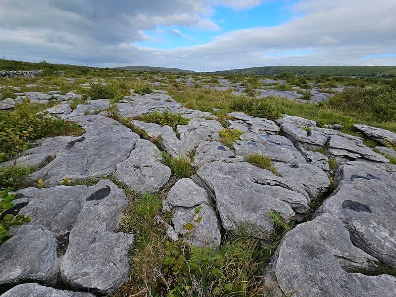 Heart of Burren Walks - Image 3