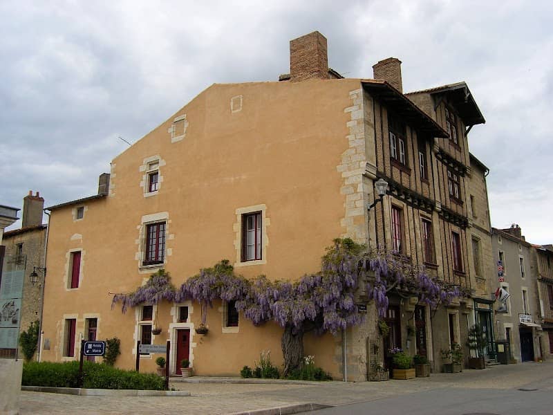 Glycine de Saint Loup - Image 1