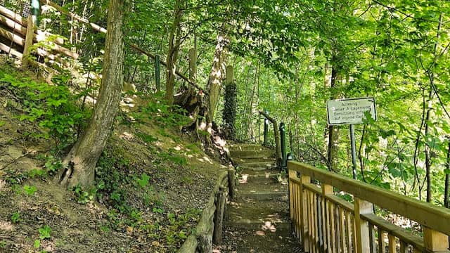 Treppe zum Schloss - Image 1