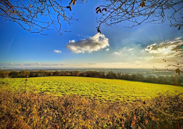 Beacon Field - Image 2