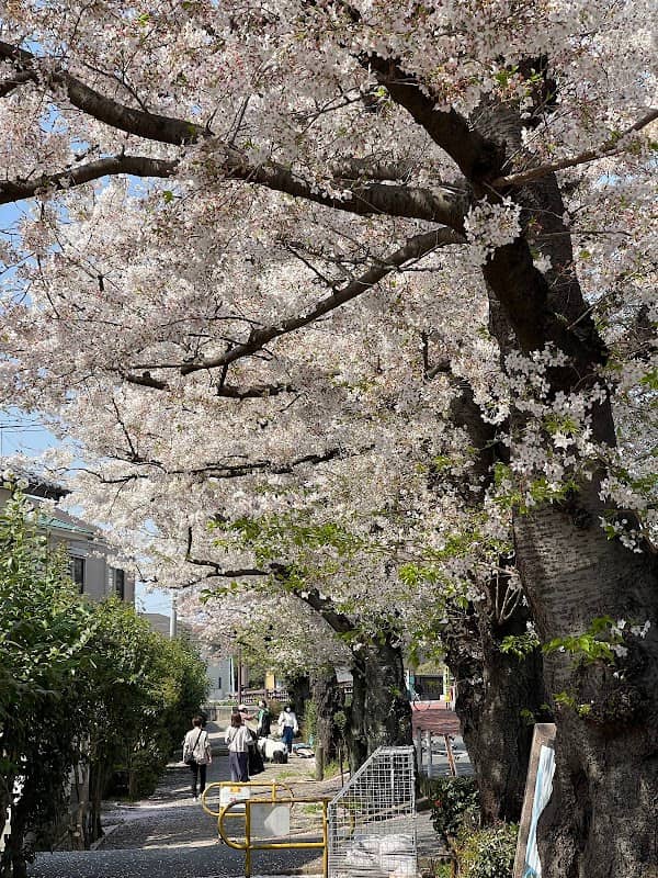 文学の道 - Image 1