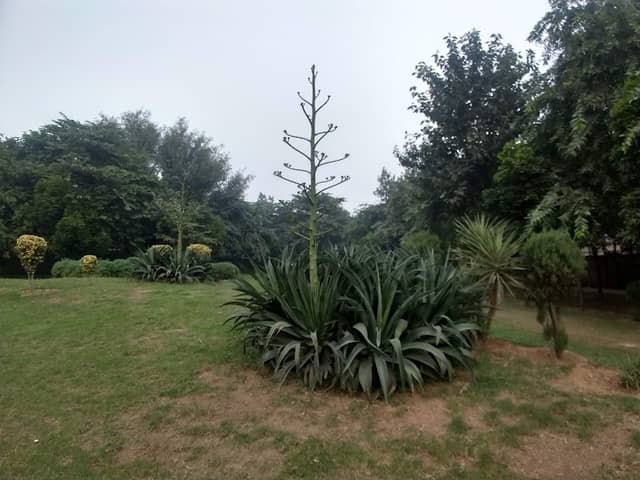 Central Park - Image 2