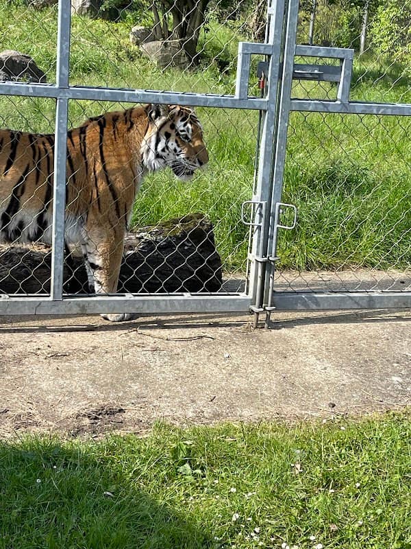 Marwell wildlife park - Image 3