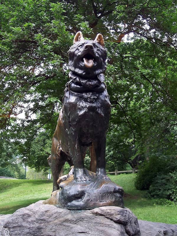 Mt Pleasant City Park - Image 1