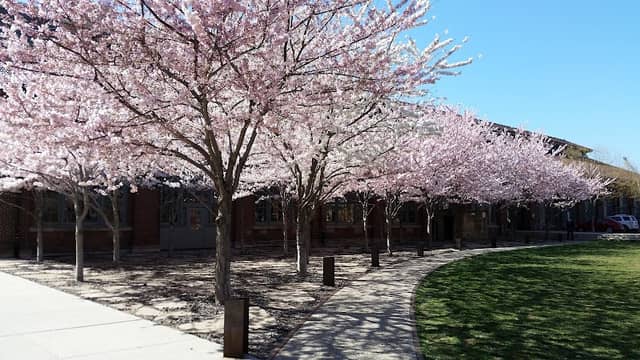 Mt Pleasant City Park - Image 2