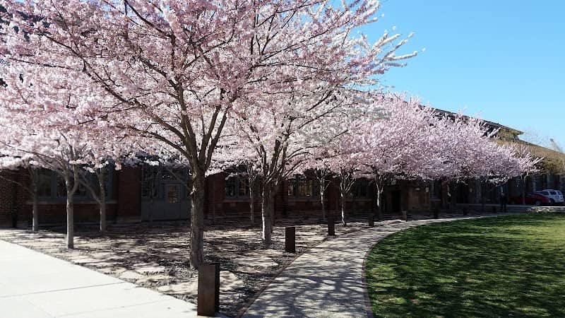 Mt Pleasant City Park - Image 2