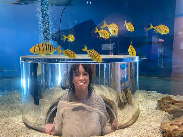 Blue Zoo Aquarium Des Moines - Image 2