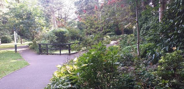 Happy Mount Park Railway - Image 2