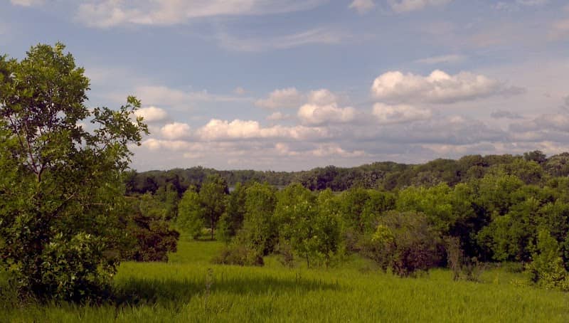 Hyland-Bush-Anderson Lakes Park Reserve - Image 3