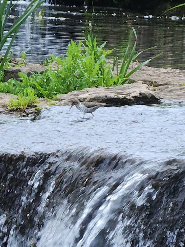 Franklin park - Image 1