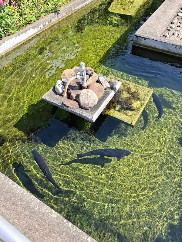 The Pequest Trout Hatchery and Natural Resource Education Center - Image 2