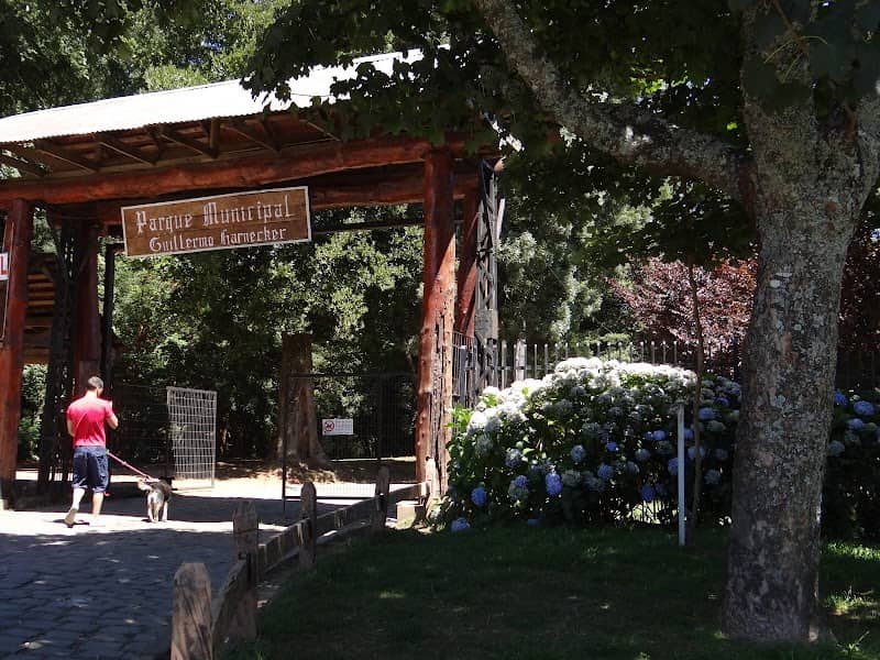 Guillermo Harnecker Park - Image 3