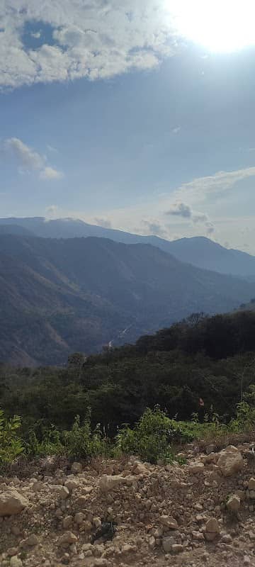 La petaca - Image 1